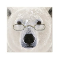 Stupell Snježni polarni medvjed naočale životinje i insekti slikati galerija zamotana platna za tisak zidne umjetnosti