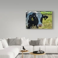 Zaštitni znak likovna umjetnost 'Holstein krava portret' platno umjetnost Brenda Petrella Photography LLC