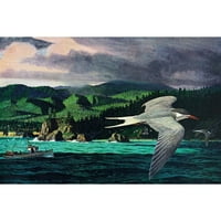 Marmont Hill Terns in Flight Slikački tisak na omotanom platnu
