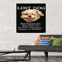 Jim Bolduin - zidni plakat izgubljenog psa, 22.375 34