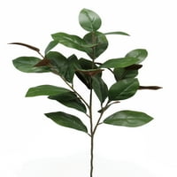 Teters Cvjetna ljetna kolekcija 34 Green Magnolia Leaf stabljika, komad