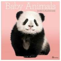 Zidni kalendar s bebama životinja