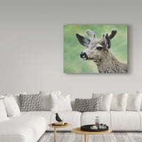 Zaštitni znak likovna umjetnost 'mule jelena u Velvet -u' platno umjetnost Jeffa Tifta