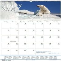 Zidni kalendar divljih životinja Doolittle House 3731